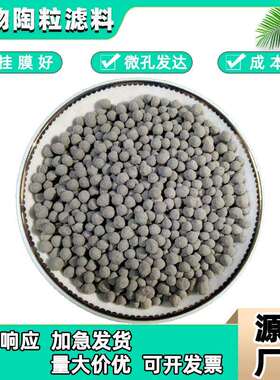 污水处理生物陶粒滤料BAF曝气生物滤池快速挂膜3-5mm供应