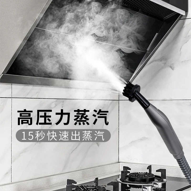 高温高压蒸汽清洁机空调油烟机热水器地毯清洗多功能110V欧规英规