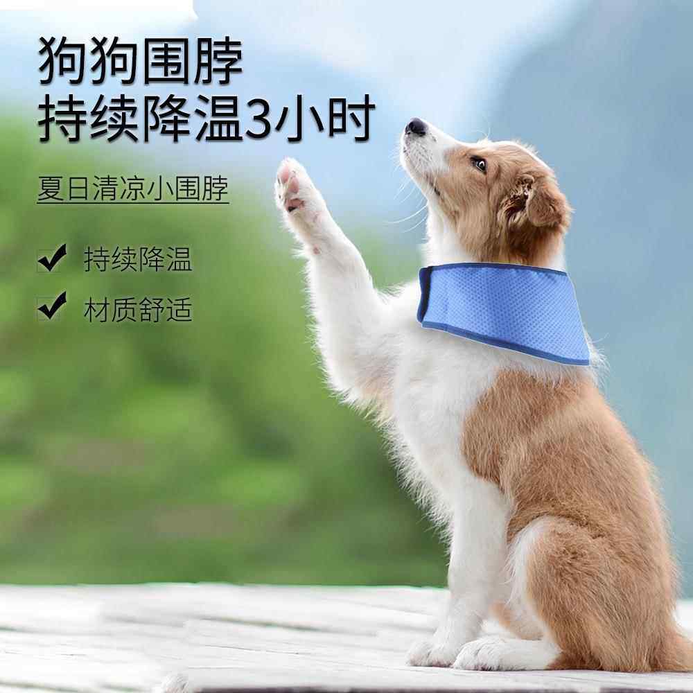 Z亚马逊新款宠物降温围脖夏季凉爽冰垫防暑狗狗冰袋项圈宠物用品