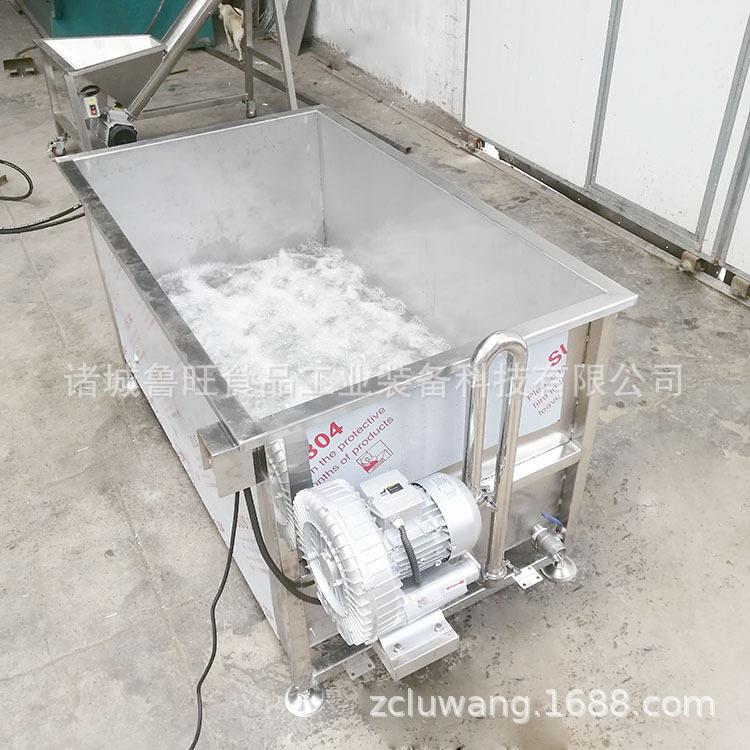 气泡清洗池 流动水黄花菜清洗机 带过滤网清洗池