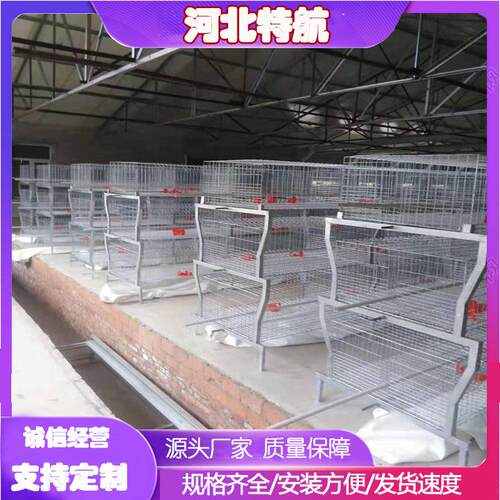 肉鸡元宝笼全自动清粪捡蛋加粗加厚镀锌丝畜牧养殖设备养鸡笼