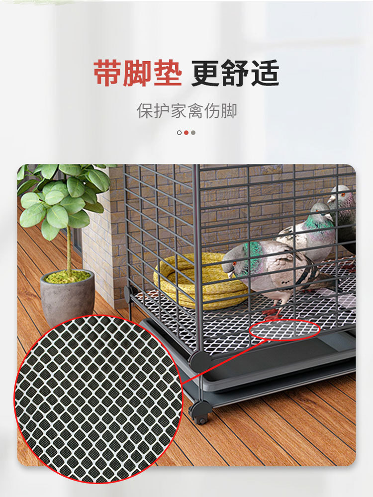 阳台无臭养鸡笼加密钢丝网自动清粪多层农村养鸡笼家用特大号