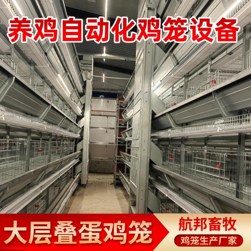 大层叠蛋鸡养殖设备厂家大规模养殖全自动捡蛋喂料框架笼蛋鸡笼