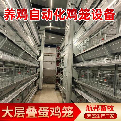 大层叠蛋鸡养殖设备厂家大规模养殖全自动捡蛋喂料框架笼蛋鸡笼