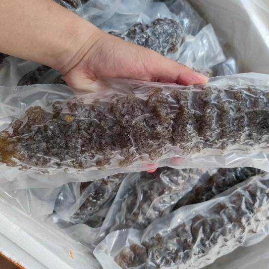 特级螺纹参龙纹参大海参冷冻水发大乌参速发散装新鲜冷冻即食包邮