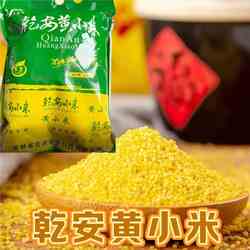 东北乾安黄小米5斤三春访小米月子米装新小米真空五谷粗粮杂粮粥
