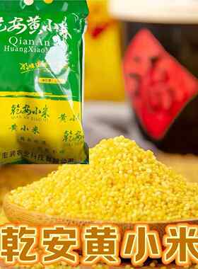 东北乾安黄小米5斤三春访小米月子米装新小米真空五谷粗粮杂粮粥