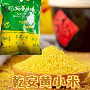 东北乾安黄小米5斤三春访小米月子米装新小米真空五谷粗粮杂粮粥