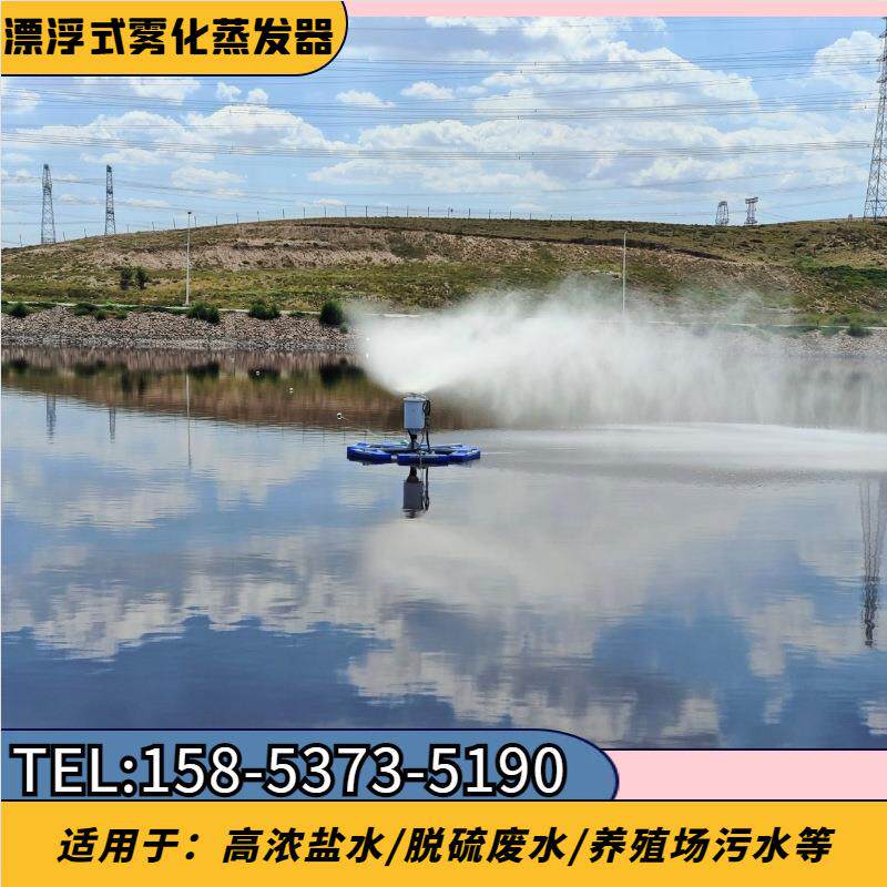 化工废水蒸发塘雾化蒸发装置 浓盐水处理喷雾机 不易堵塞