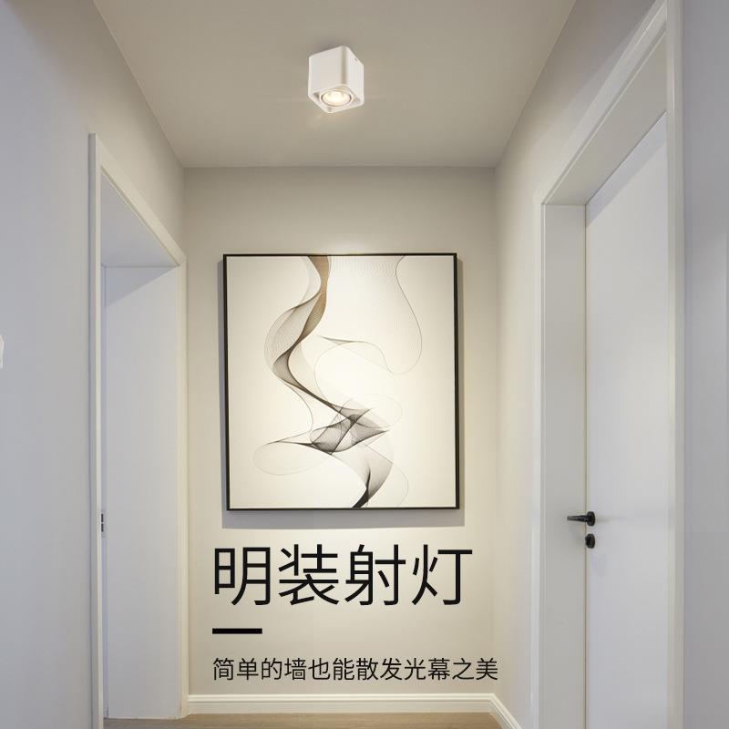 明装筒灯COB防眩led射灯免开孔双头豆胆灯客厅家用天花过道灯三头