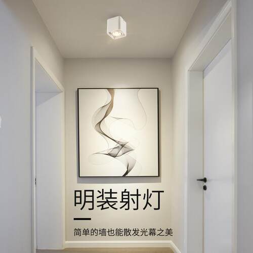 明装筒灯COB防眩led射灯免开孔双头豆胆灯客厅家用天花过道灯三头