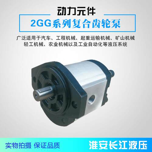 2GG系列高压齿轮泵高效液压齿轮油泵现货供应齿轮泵厂家长江液压