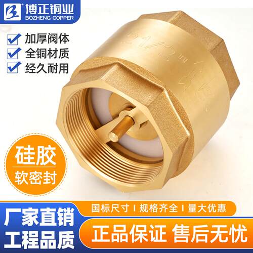 博正BZ4030弹簧消声立式止回阀H12X-16T单向逆止阀