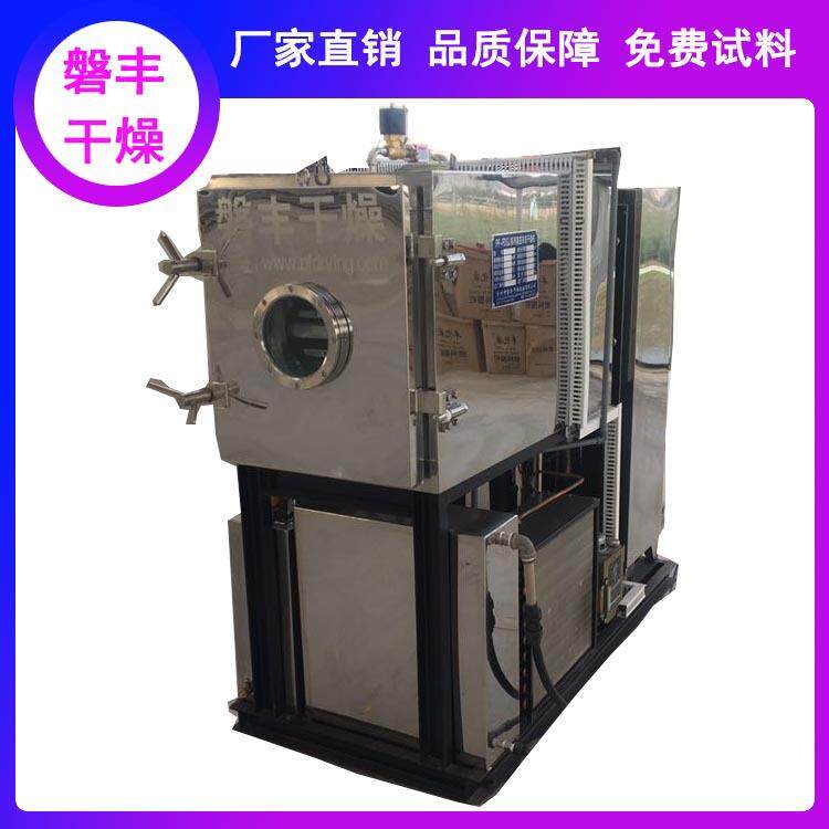 小型冷冻干燥机水果冻干设备柠檬干冻干机苹果干冻干草莓冻干