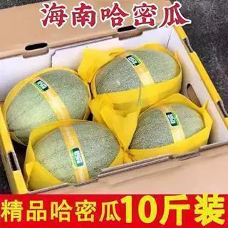 正宗海南哈密瓜10斤新鲜水果整箱当季新网纹西州蜜瓜25玫珑甜瓜疆