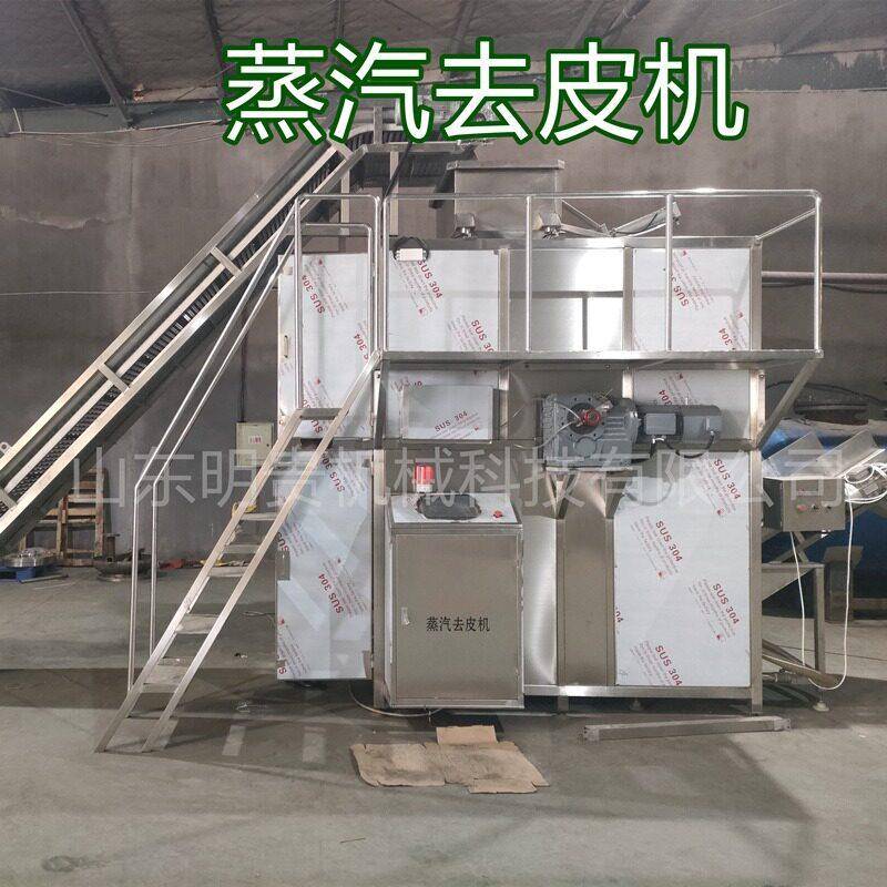 番茄蒸汽去皮机马铃薯温剥皮设备海棠果柿子自动脱皮机器