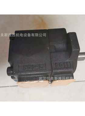 德国HYDAC贺德克叶片油泵PVV100-2-63BHRE-QKL-XXXX