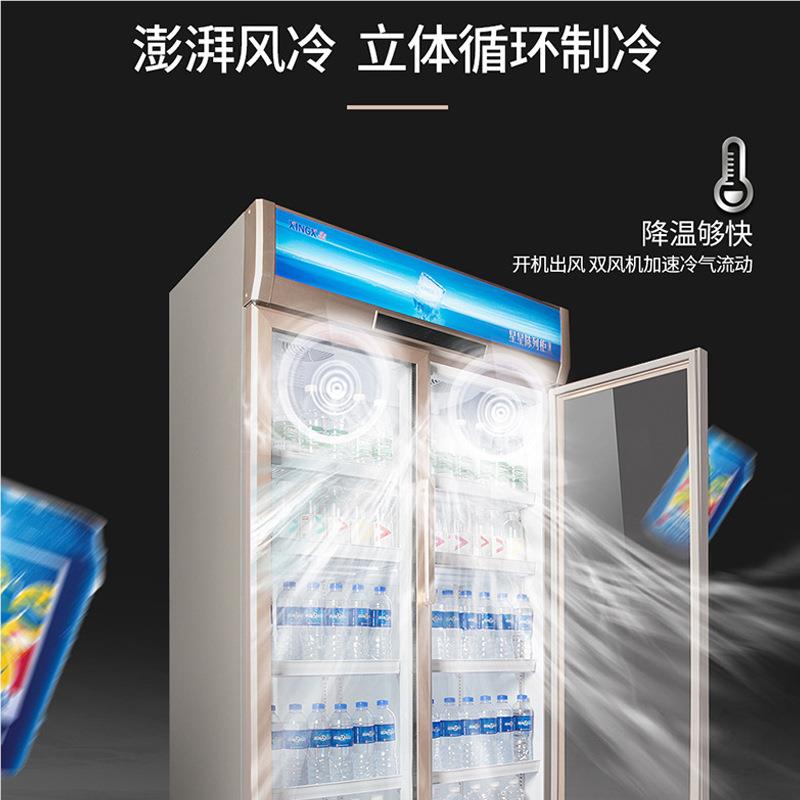 SC-610WD商用展示柜风冷霜658无冷藏鲜冰箱啤酒饮料柜保陈L列柜
