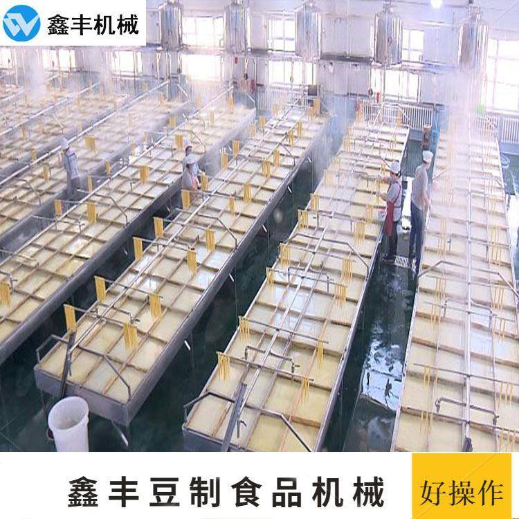 腐竹机配套设备价格 大型自动腐竹机生产线 技术一对一教学