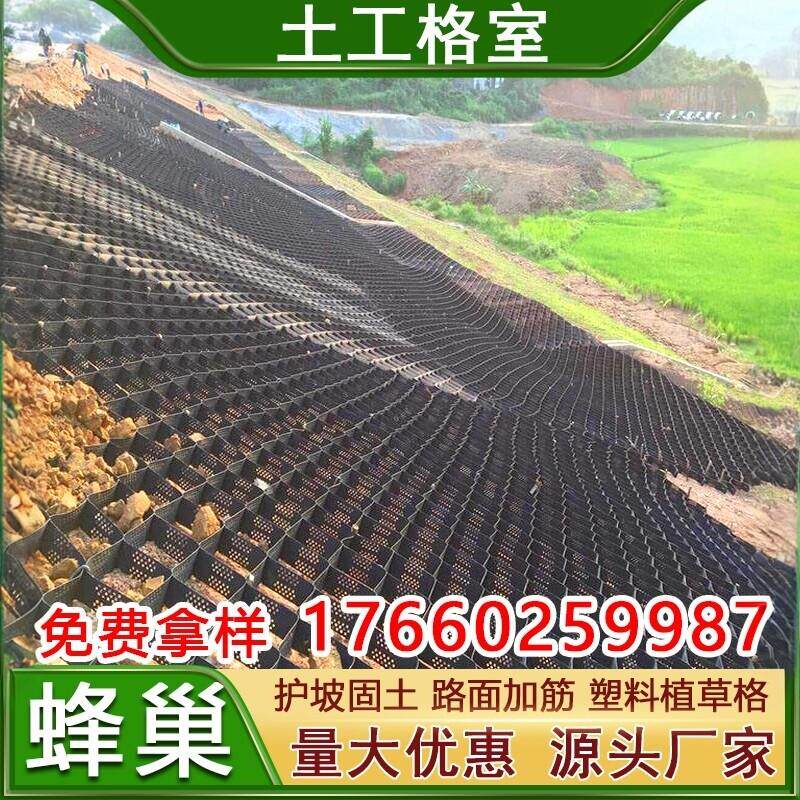 土工格室挡土墙塑料网格护坡固土网塑料植草格防护网蜂巢土工格室