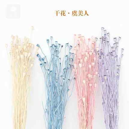 虞美人雪莉果车轮果干果永生花礼盒花材拍摄道具