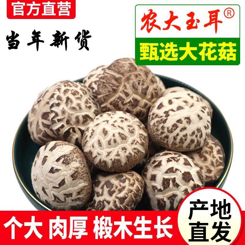 东北特产长白山大花菇纯椴木香菇剪腿金钱菇冬菇肉厚干 干货新货5