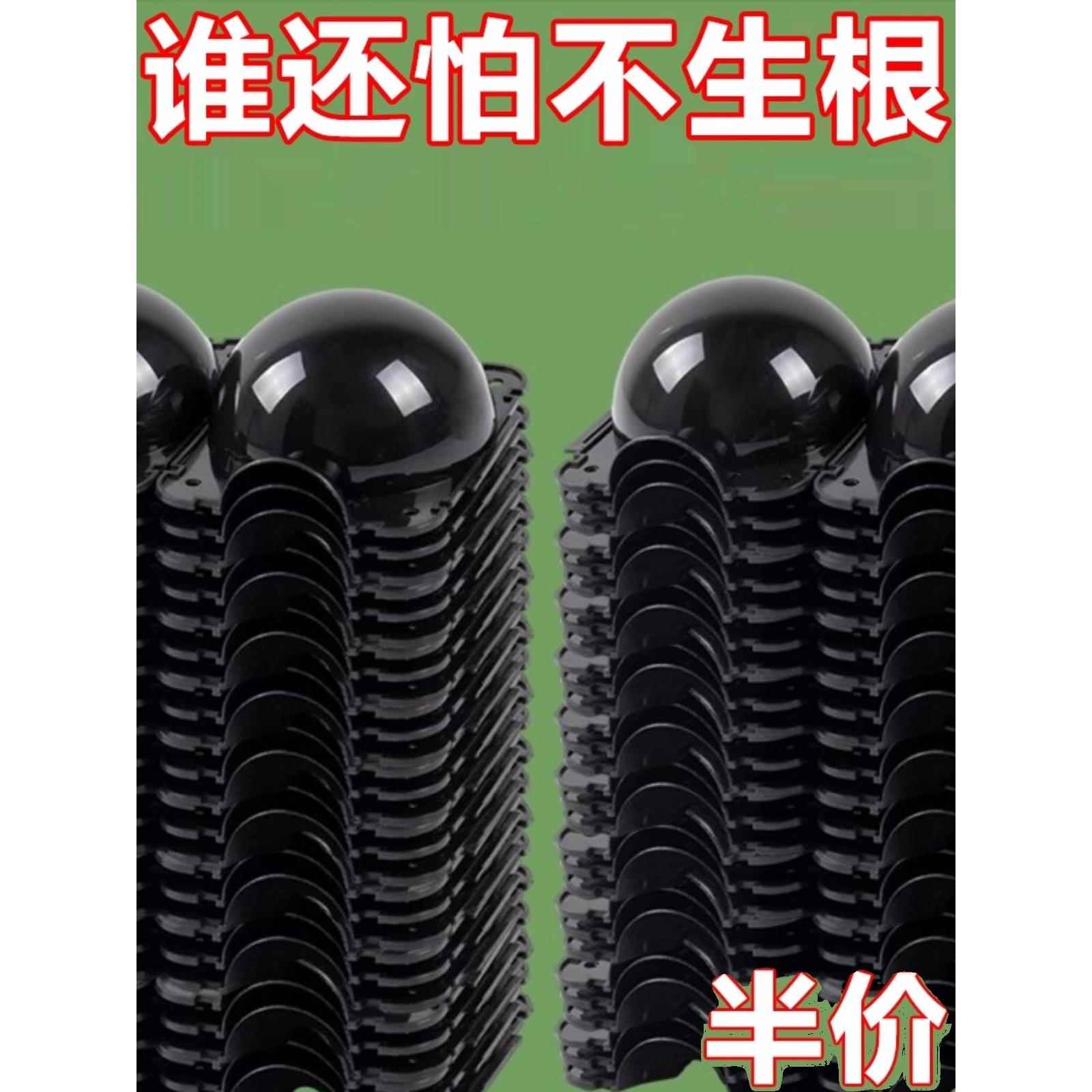 植物嫁接高压盒繁殖插扦塑料球生根包控枝器树木盆景园林通用工具