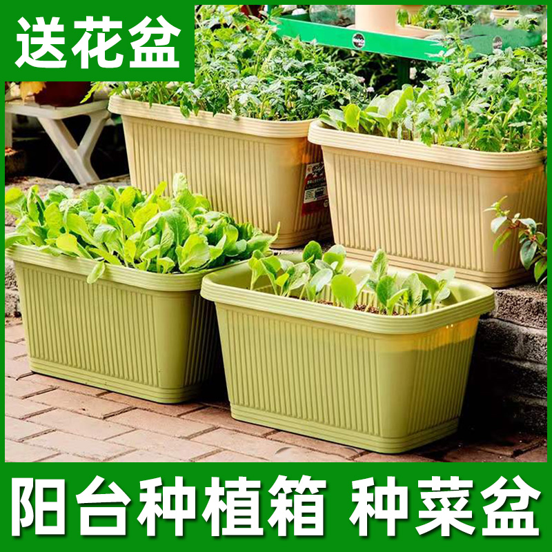 长方形种菜盆阳台种菜神器家庭蔬菜种植盆室内户外大号塑料种植箱