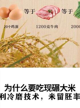 碾米机家用全自动鲜米多功智能稻脱谷脱剥壳胚芽精米打谷糙米磨皮