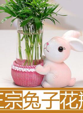 兔子花瓶富贵竹花樽装小白色大的图案摆件水培大口径造型兔款兔正