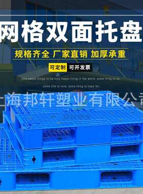 塑料料栈TMK板立体库塑盘板托架钢管蓝色网双格长方形叉车货架面