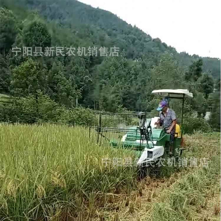 水稻小麦履带式联合收割机谷子甜高粱收获机青稞小麦收割脱粒机