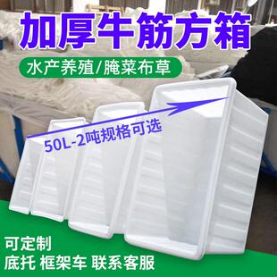 2吨牛筋方箱pe水产养殖箱白色食品级1000升牛筋方箱 塑料加厚50L
