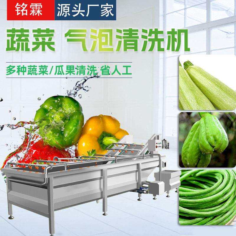 西葫芦佛手瓜清洗机设备 不锈钢中房清洗流水线 净菜加工设备