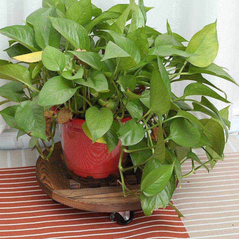 花盆托盘万向轮碳化防腐木长方形圆形实木带滚轮移动花盘底座花托,家居饰品,装饰摆件,淘宝优惠券,粉丝福利购,淘宝优惠卷