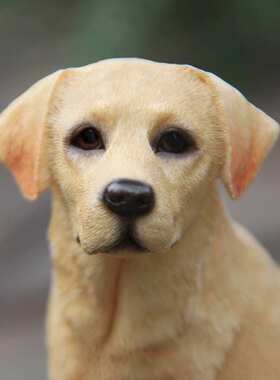 厂家直销坐姿拉布拉多犬仿真狗模型车载摆件工艺品收藏