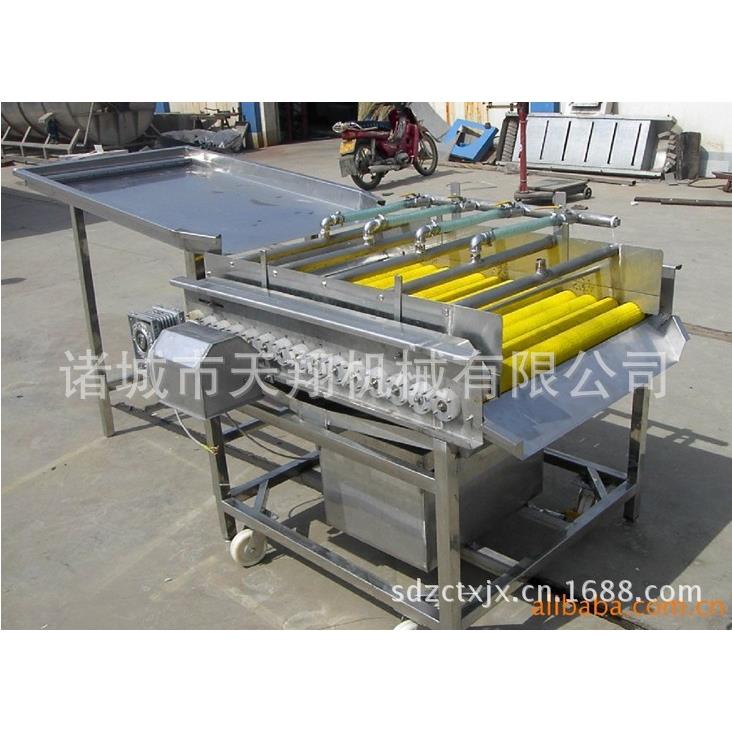 天翔供应高效率摈榔清洗机 清洗加工设备 厂家供应售后保障