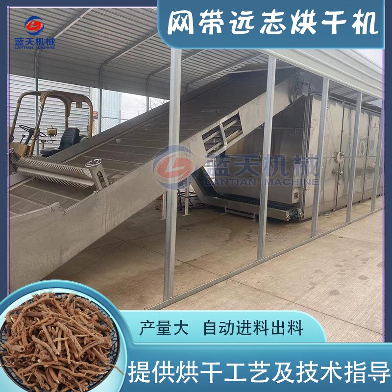 全自动远志烘干设备伸筋草益智仁山胡麻干燥机网带远志肉烘干机
