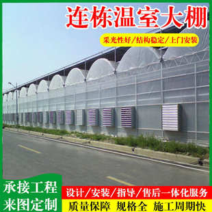 外遮阳薄膜温室大棚 热镀锌管骨架大棚 连栋蔬菜养殖温室大棚建造