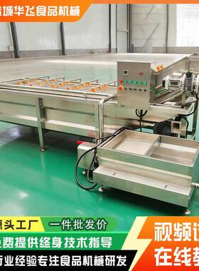 自动气泡清洗机 苹果冬枣核桃循环水喷淋清洗 农产品头加工设备