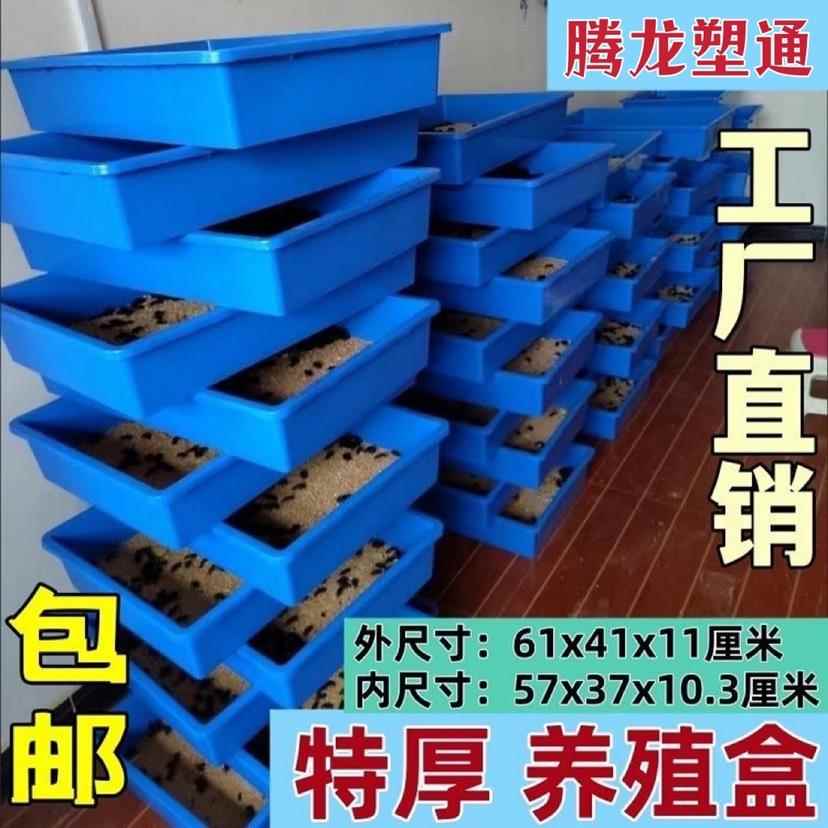 蛋白虫养殖盒面 面包虫黄粉虫养殖框养虫工具周转箱零件盒工厂直