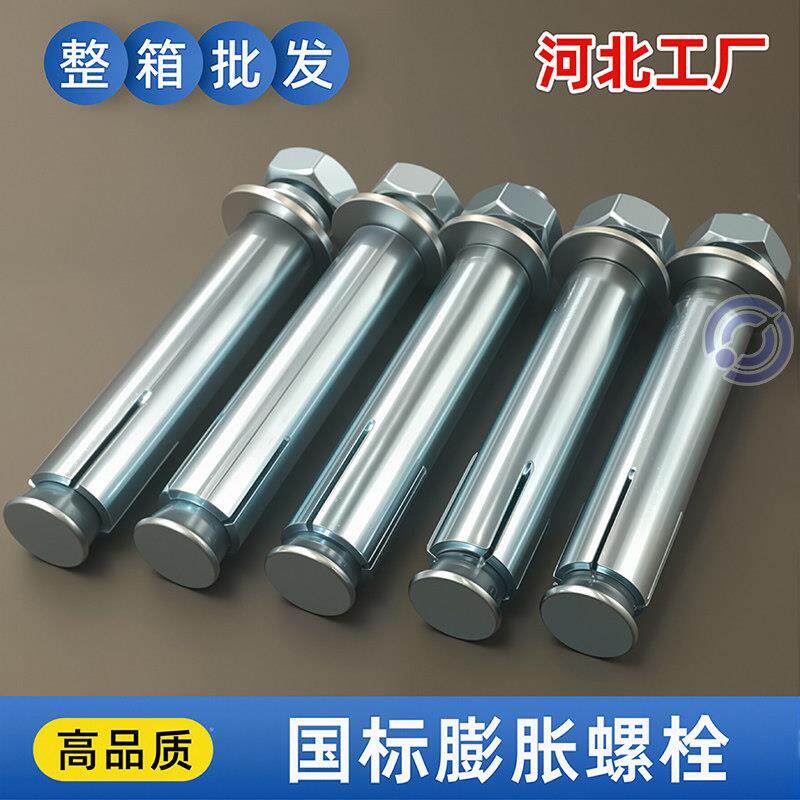 整箱国标膨胀螺丝镀锌铁胀管加长金属胀栓空调外机专用蓬胀丝M810