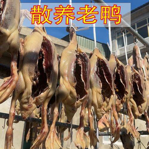 风干老鸭散养咸土鸭风干大白鸭腌制咸鸭农家晒干鸭肉整只咸货腊鸭