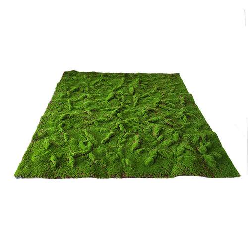 仿真苔藓草皮植物墙绿植墙打底人造青苔草坪 橱窗铺面背景墙装饰