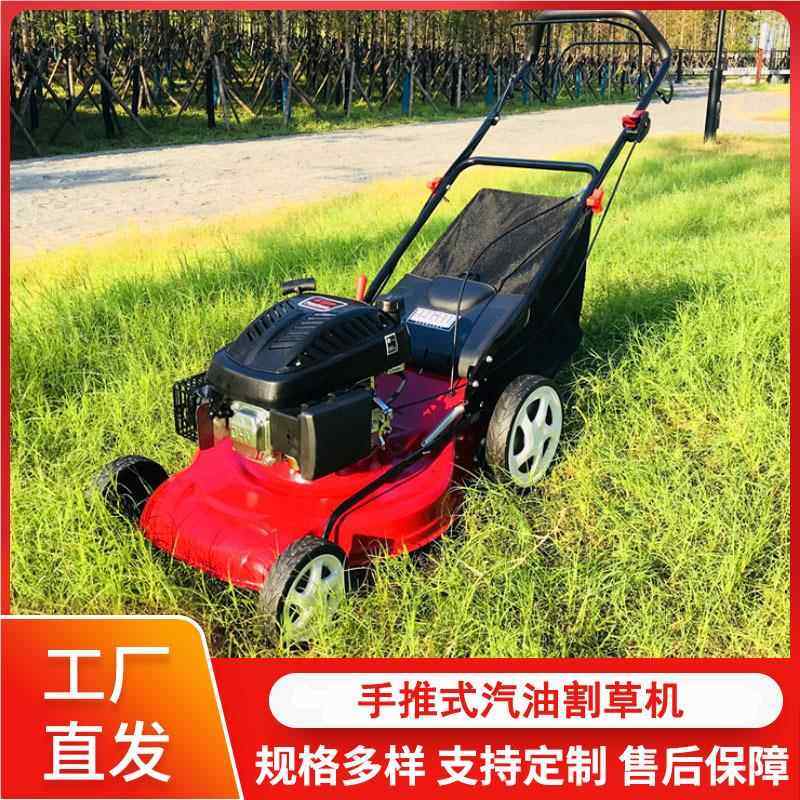 油动坪力13348草机 四冲程20寸手式自走式剪草机除草推汽机割草机,鲜花速递/花卉仿真/绿植园艺,喷壶,淘宝优惠券,粉丝福利购,淘宝优惠卷