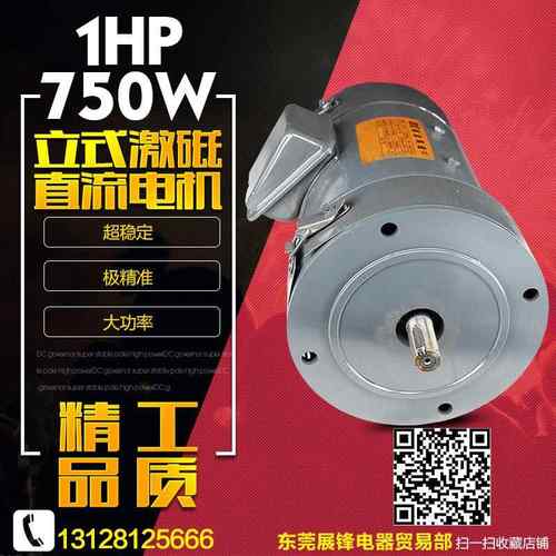 1HP直流电机DC200V750W立式激磁直流马达调速电机马达ZD97B