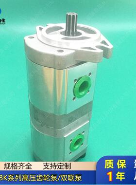 双联齿轮泵CBK1010/06 CBK1010/04 CBK1008/08 CBK1008/06质保1年