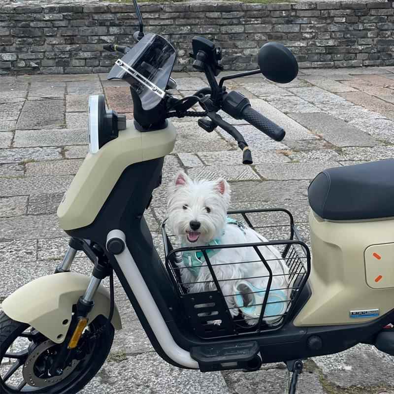 电动车带小狗狗神器座椅坐电动车外出宠物车筐电动车踏板前置款