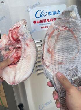 冷冻食品厂冻品整鸡开半机 鲈鱼娃娃鱼开边机罗非鱼猪脚切半机