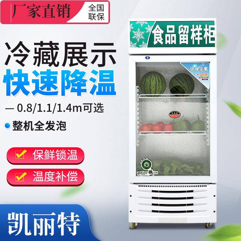 幼儿园食品留样柜带锁学校餐厅商用展示柜家用小型冰箱冷藏保鲜柜